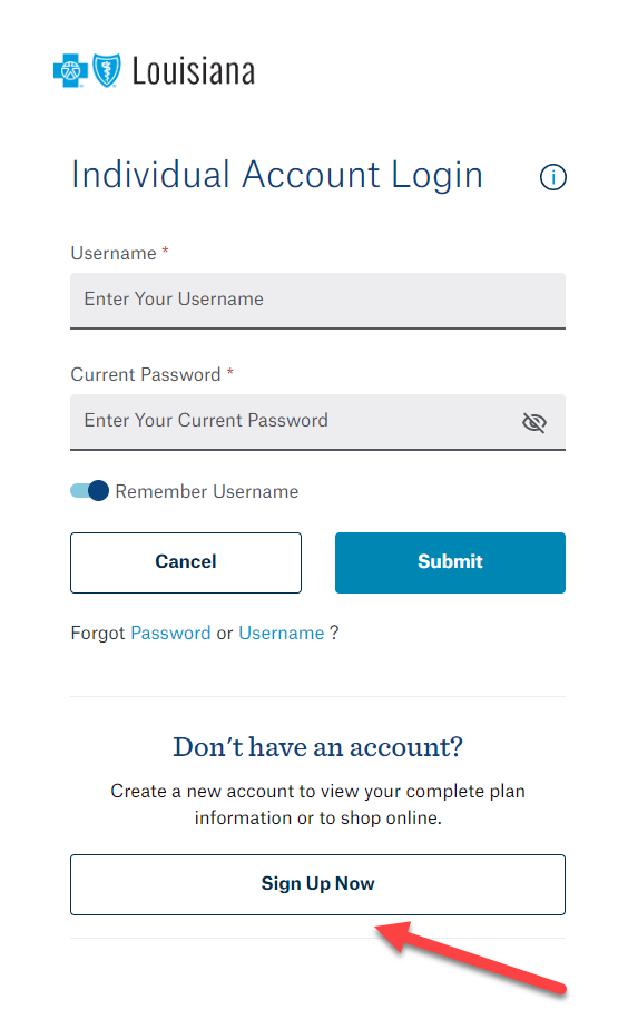 Screenshot of Individual Account Login screen